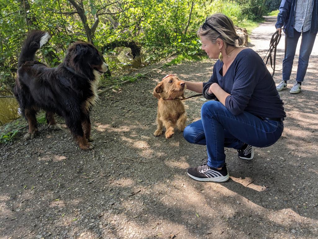 Pet sitter à Nantes : Promenades et visites à domicile pour vos animaux