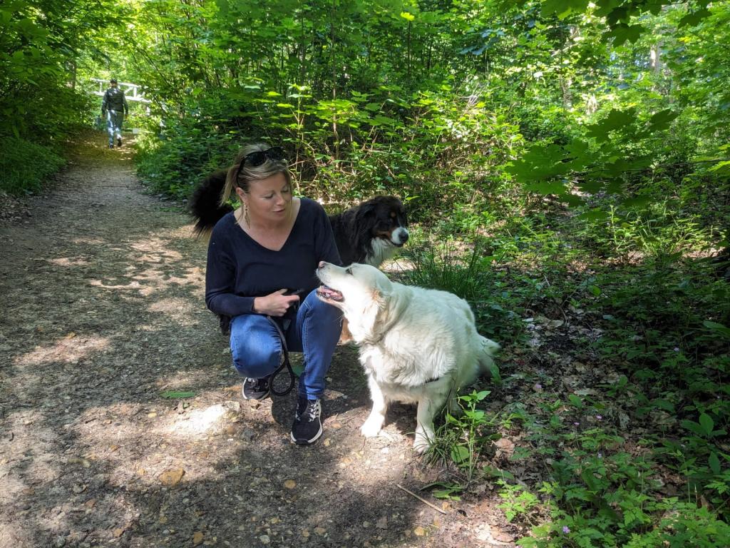 Pet sitter à Nantes : Promenades et visites à domicile pour vos animaux