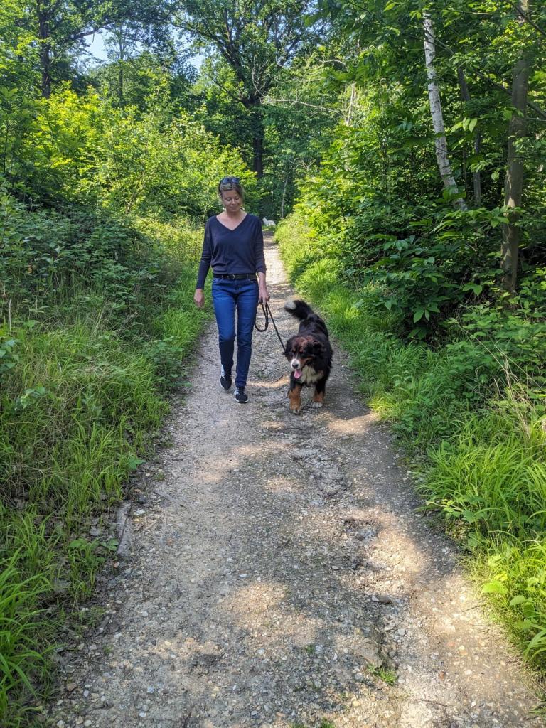 Pet sitter à Nantes : Promenades et visites à domicile pour vos animaux